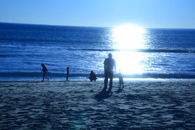 DSC_1172 (Large).JPG